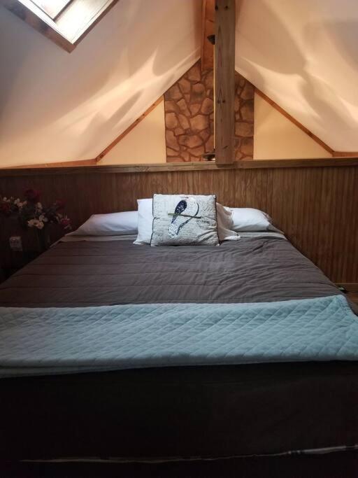 Our Private Wooded Cabin Chatham Eksteriør bilde